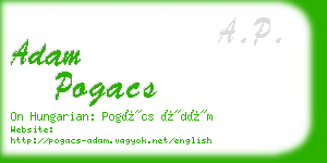 adam pogacs business card